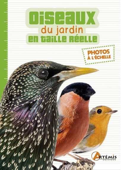 Oiseaux du jardin en taille réelle